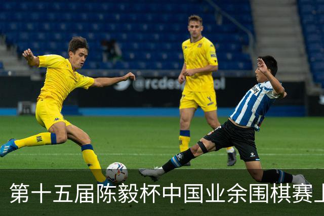 第十五届陈毅杯中国业余围棋赛上海开幕